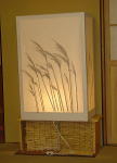 �����̍s��(�F�J���j